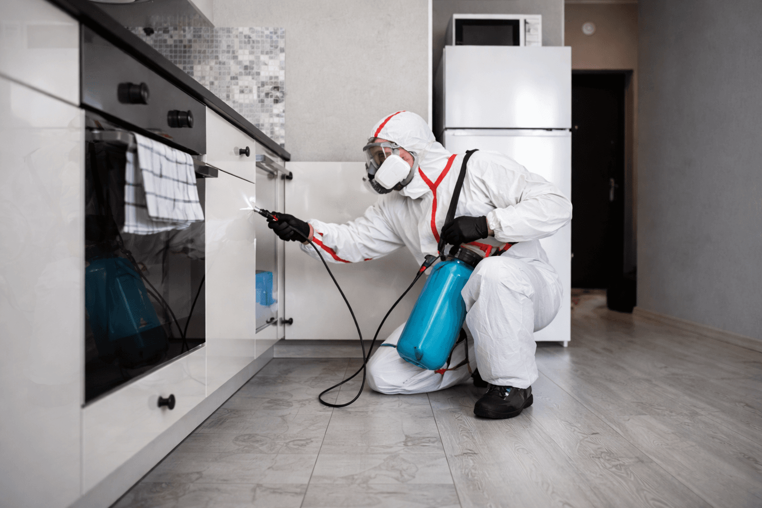 Trusted pest management in Rawalpindi and Islamabad